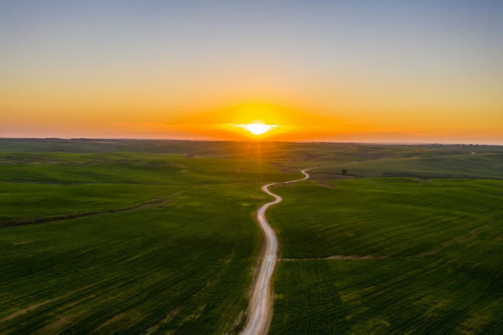 A path through a green field toward the rising sun